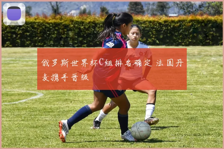 俄罗斯世界杯C组排名确定 法国丹麦携手晋级
