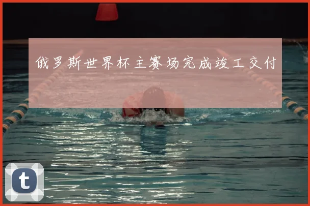 俄罗斯世界杯主赛场完成竣工交付