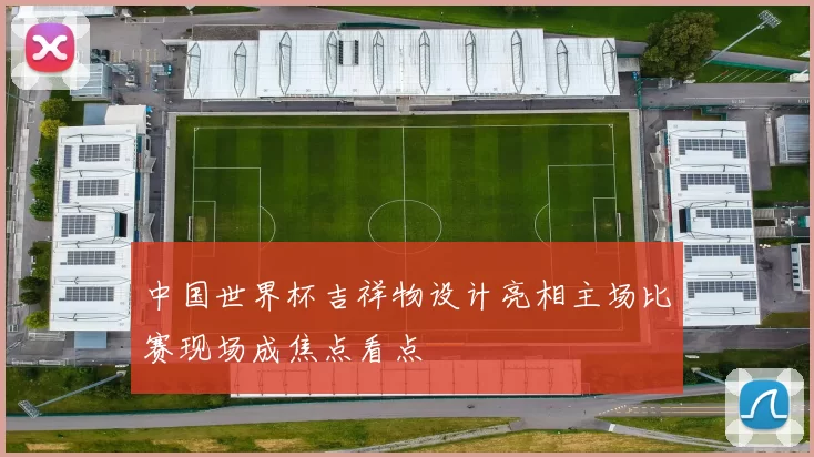 中国世界杯吉祥物设计亮相主场比赛现场成焦点看点